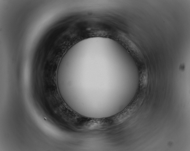 X0000100480764200806201629