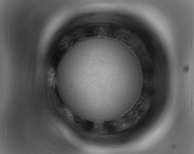 X0000100480766200806201629
