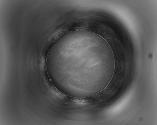 X0000100480767200806201629