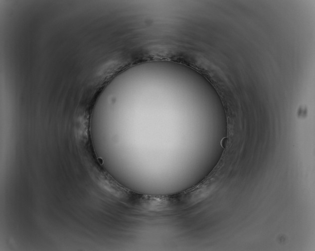 X0000100480768200806201629