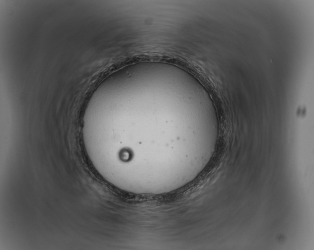 X0000100480769200806201629