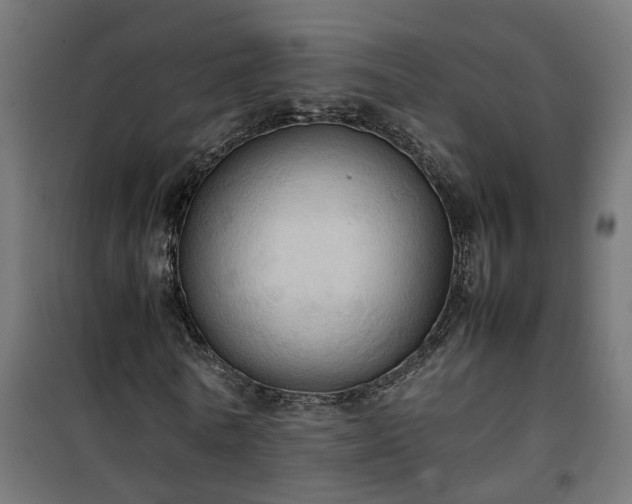 X0000100480770200806201629