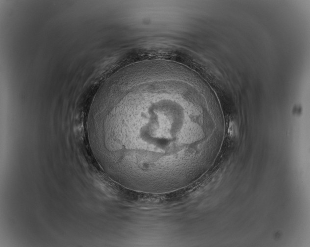 X0000100480771200806201629