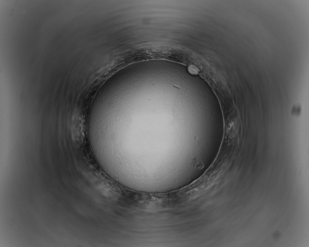 X0000100480772200806201629