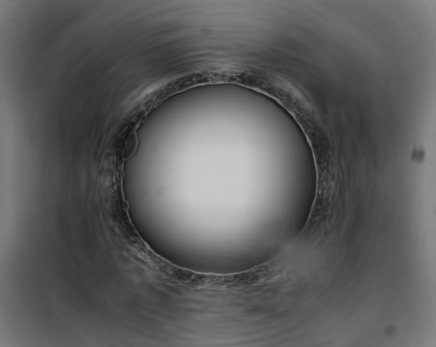X0000100480773200806201629