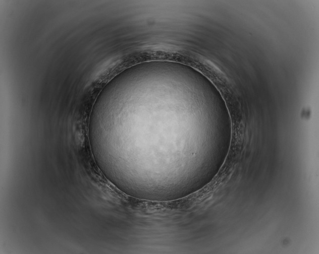 X0000100480774200806201629