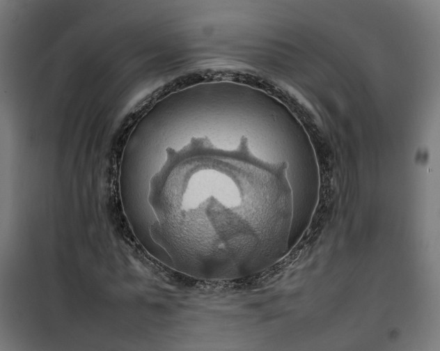 X0000100480775200806201629
