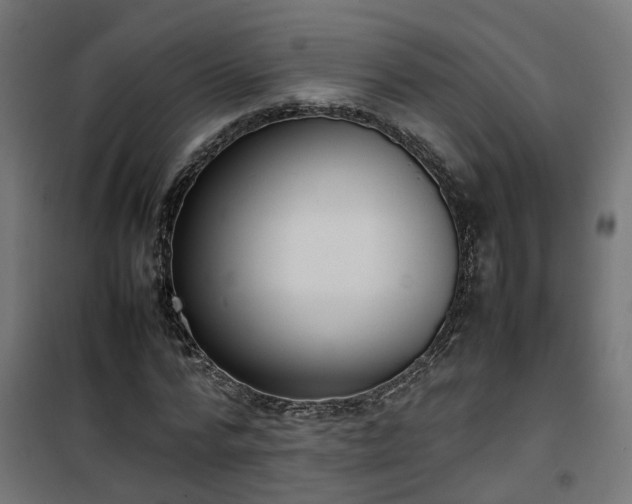 X0000100480776200806201629