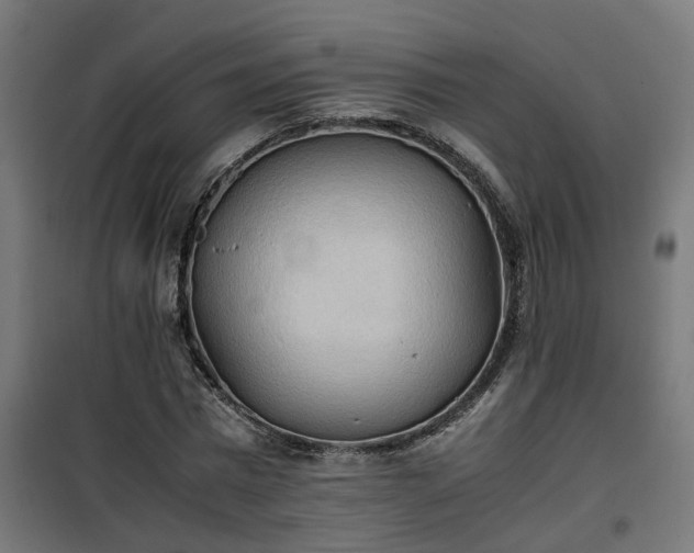 X0000100480777200806201629