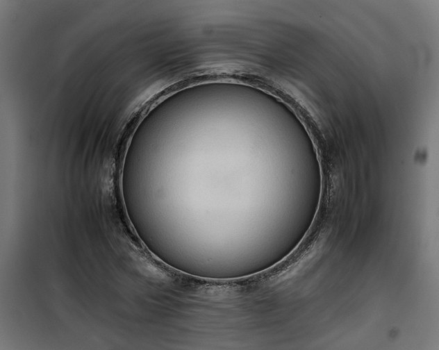 X0000100480778200806201629