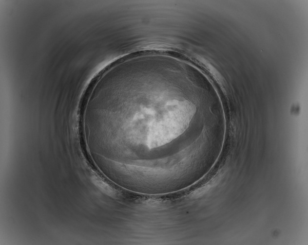 X0000100480779200806201629