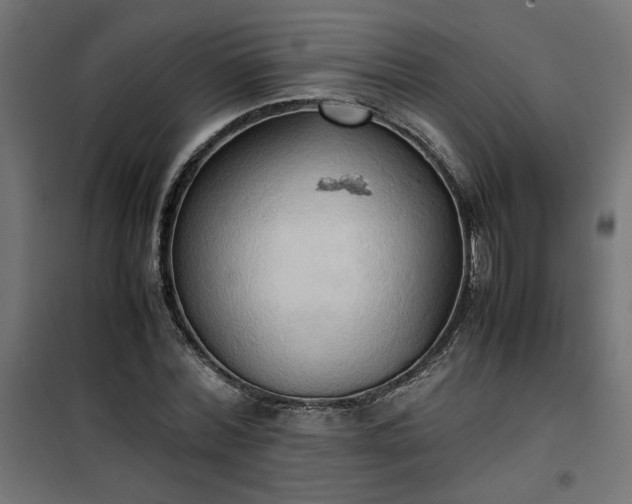 X0000100480780200806201629
