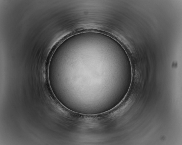 X0000100480782200806201629