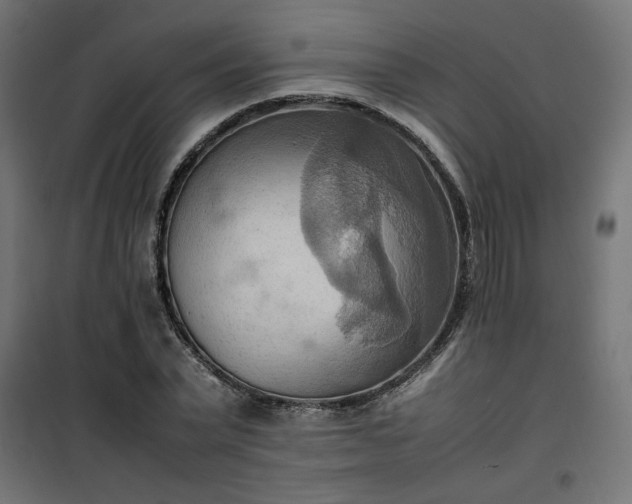 X0000100480783200806201629