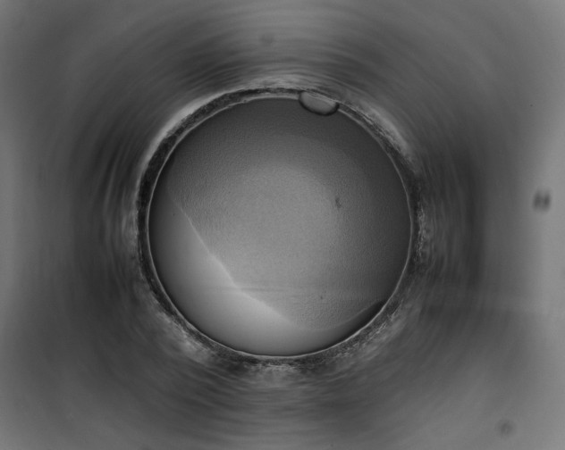 X0000100480784200806201629