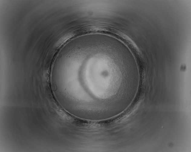 X0000100480785200806201629