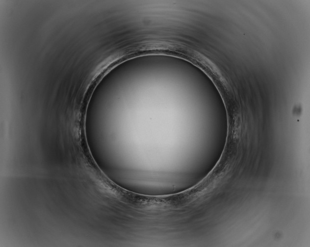 X0000100480786200806201628