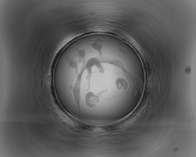 X0000100480787200806201628