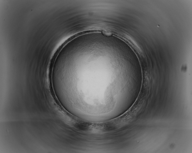 X0000100480788200806201628