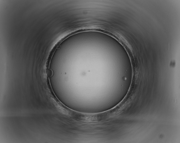 X0000100480789200806201628