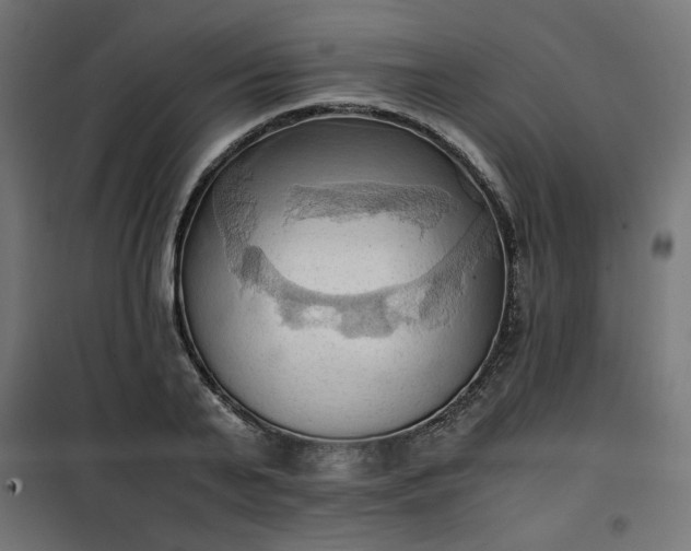 X0000100480791200806201628