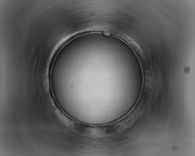 X0000100480792200806201628