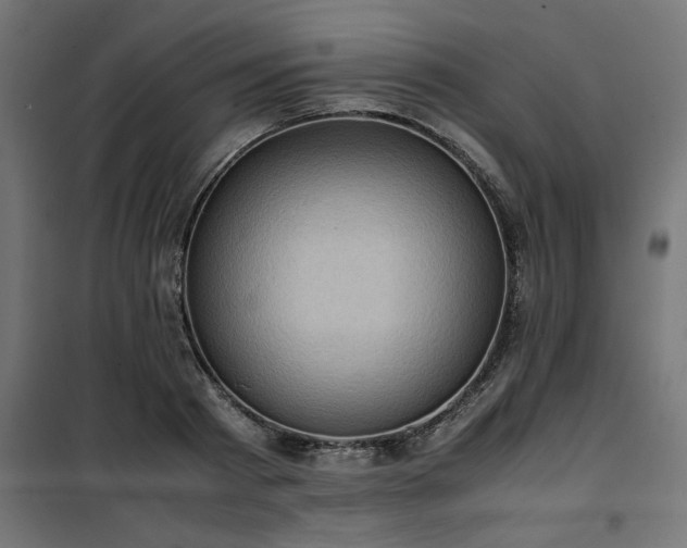 X0000100480793200806201628