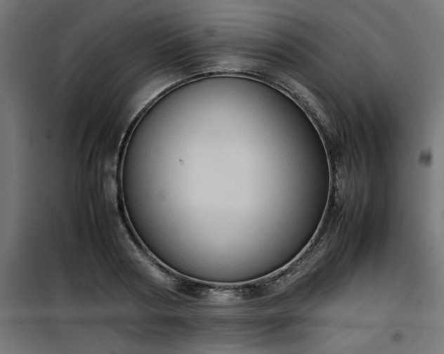 X0000100480794200806201628