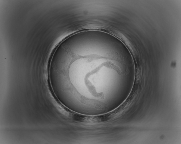 X0000100480795200806201628