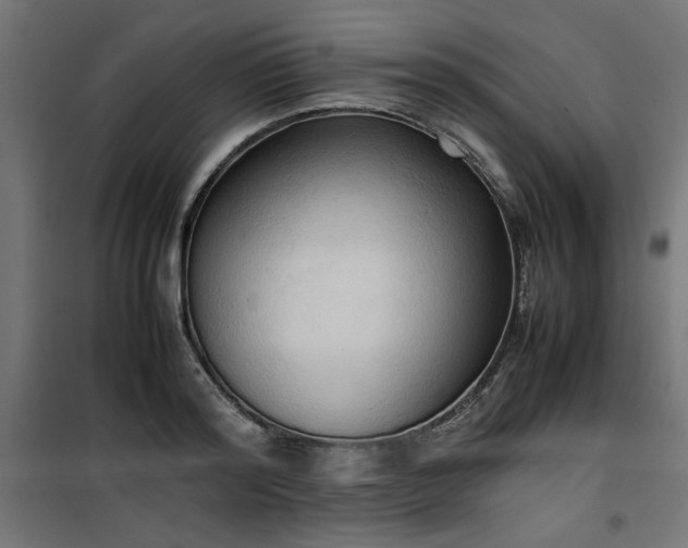 X0000100480796200806201628