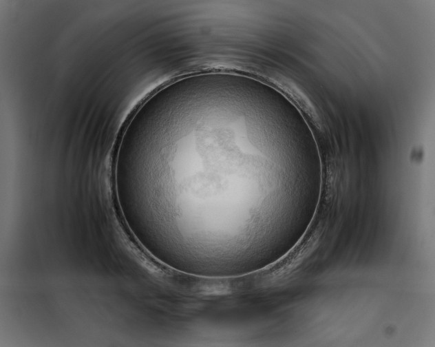 X0000100480798200806201628