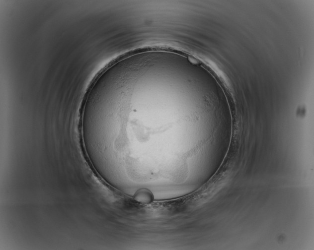 X0000100480799200806201628