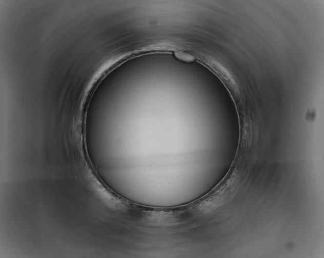 X0000100480800200806201628