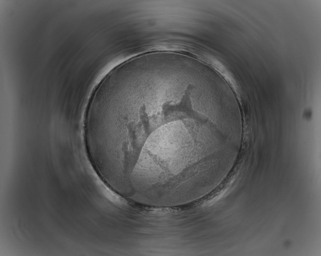 X0000100480803200806201628