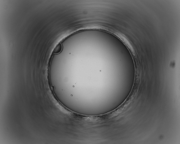 X0000100480805200806201628