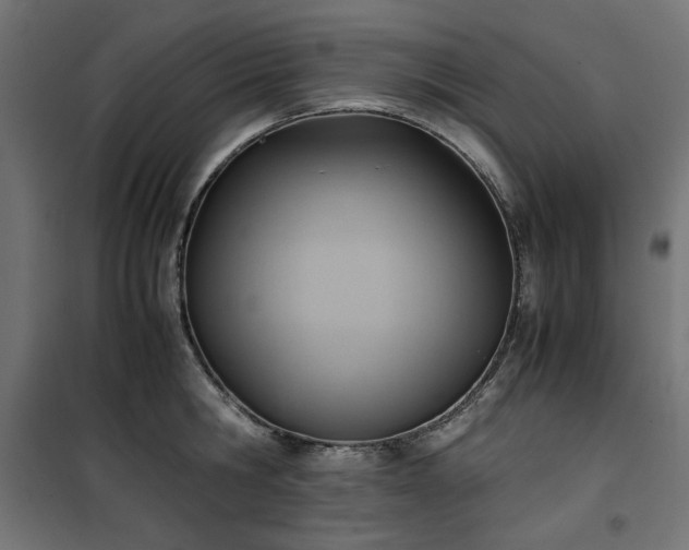 X0000100480806200806201628