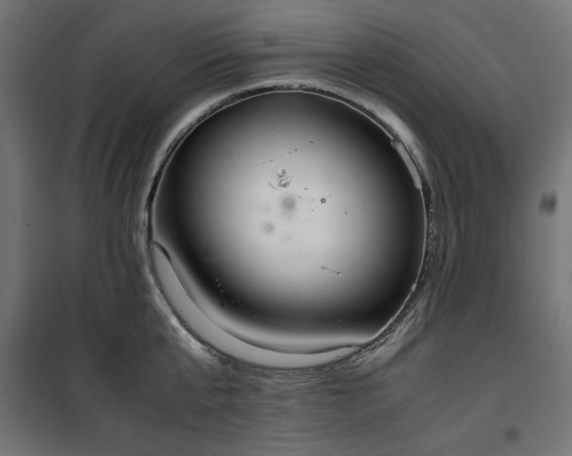 X0000100480807200806201628