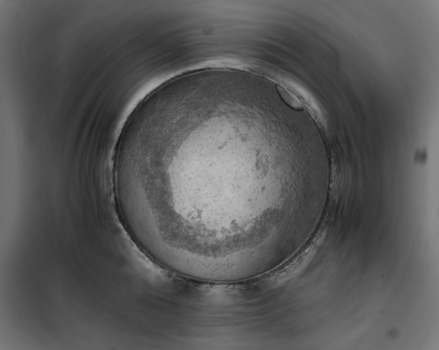 X0000100480808200806201628