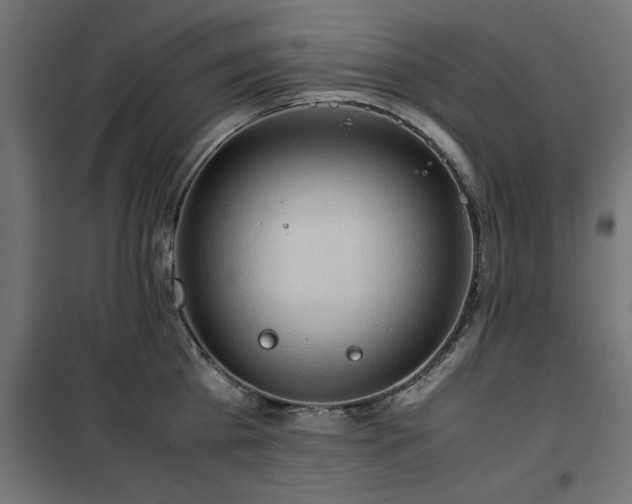 X0000100480809200806201628