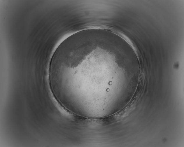 X0000100480811200806201628