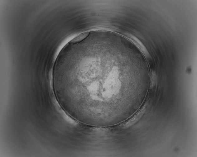 X0000100480812200806201628