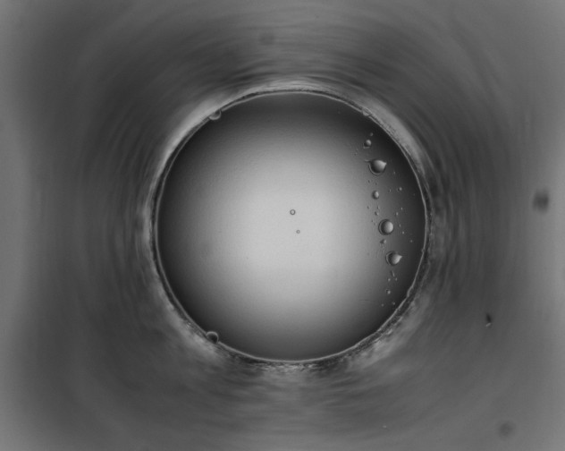 X0000100480813200806201628
