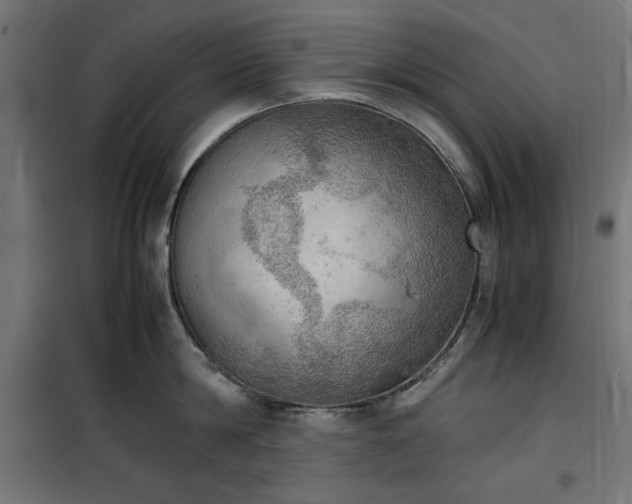 X0000100480814200806201628