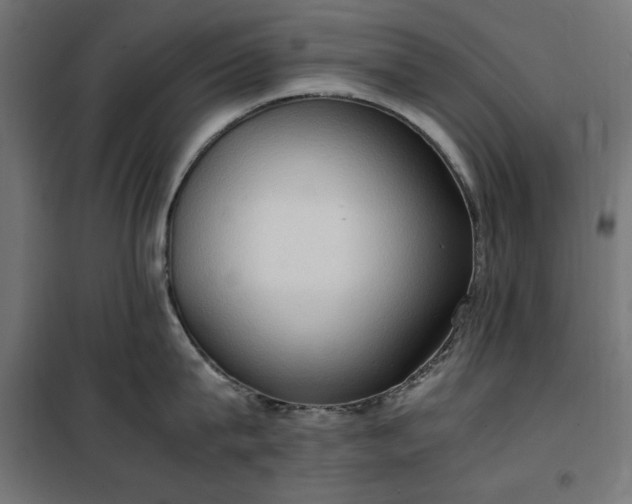 X0000100480815200806201628