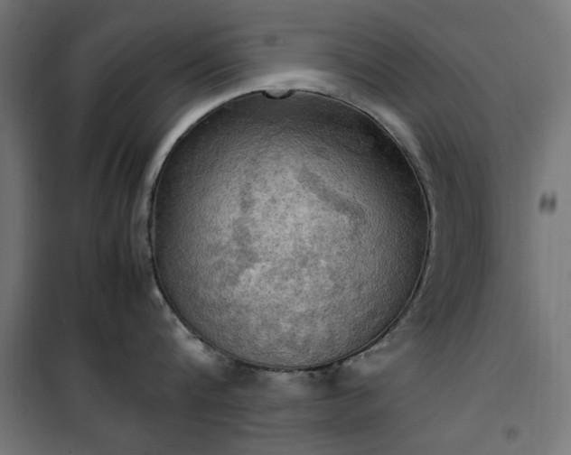X0000100480816200806201628