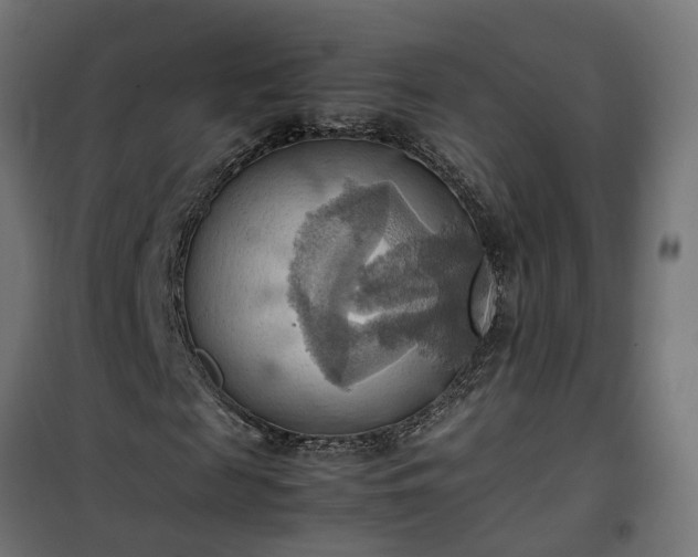 X0000100480817200806201627