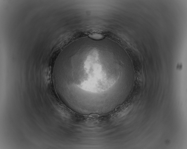 X0000100480818200806201627