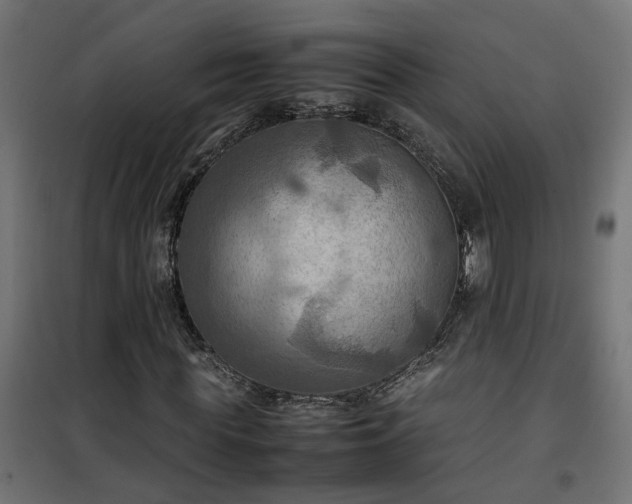 X0000100480819200806201627