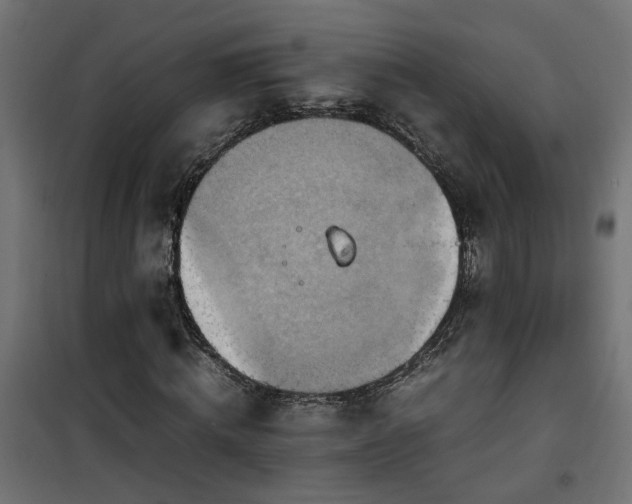 X0000100480820200806201627