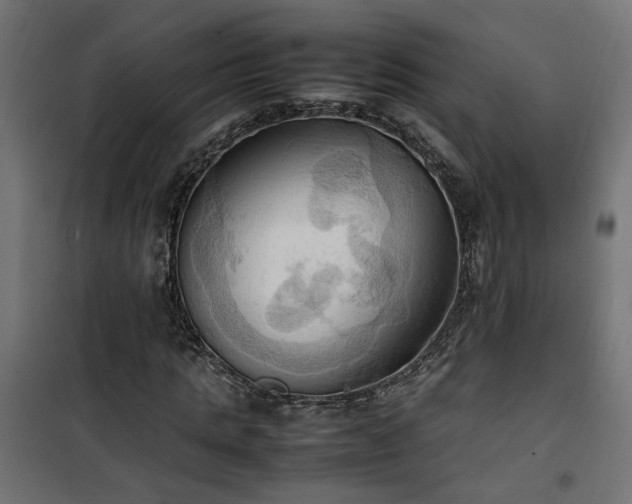 X0000100480821200806201627